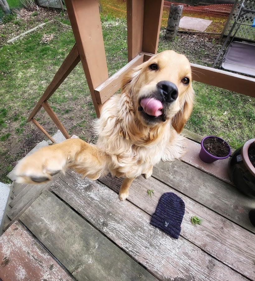 Catering to individual needs in a secure and loving home.