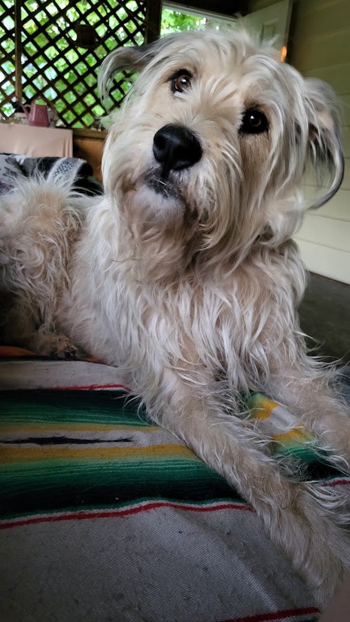 Catering to individual needs in a secure and loving home.