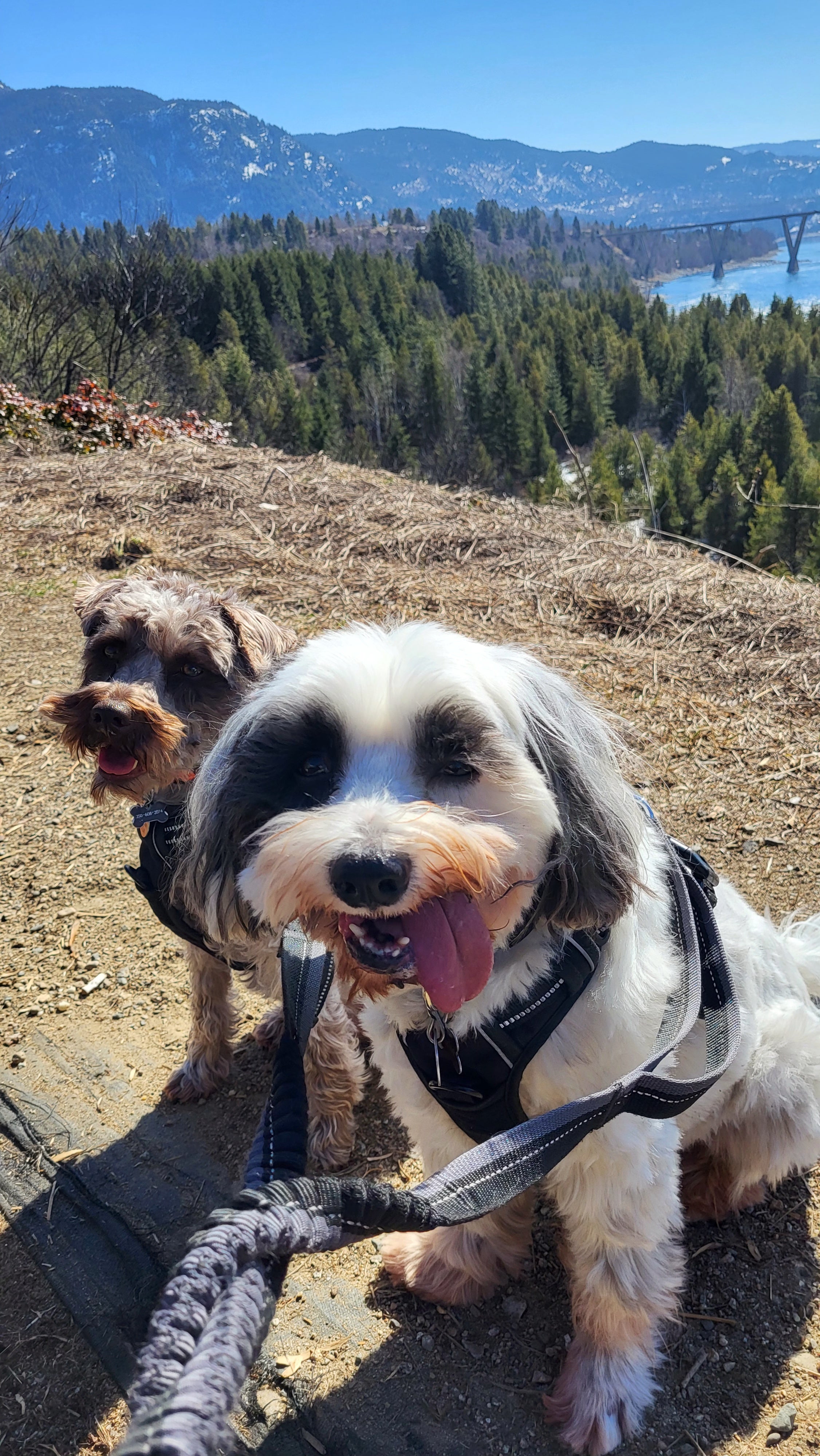 Catering to individual needs in a secure and loving home.