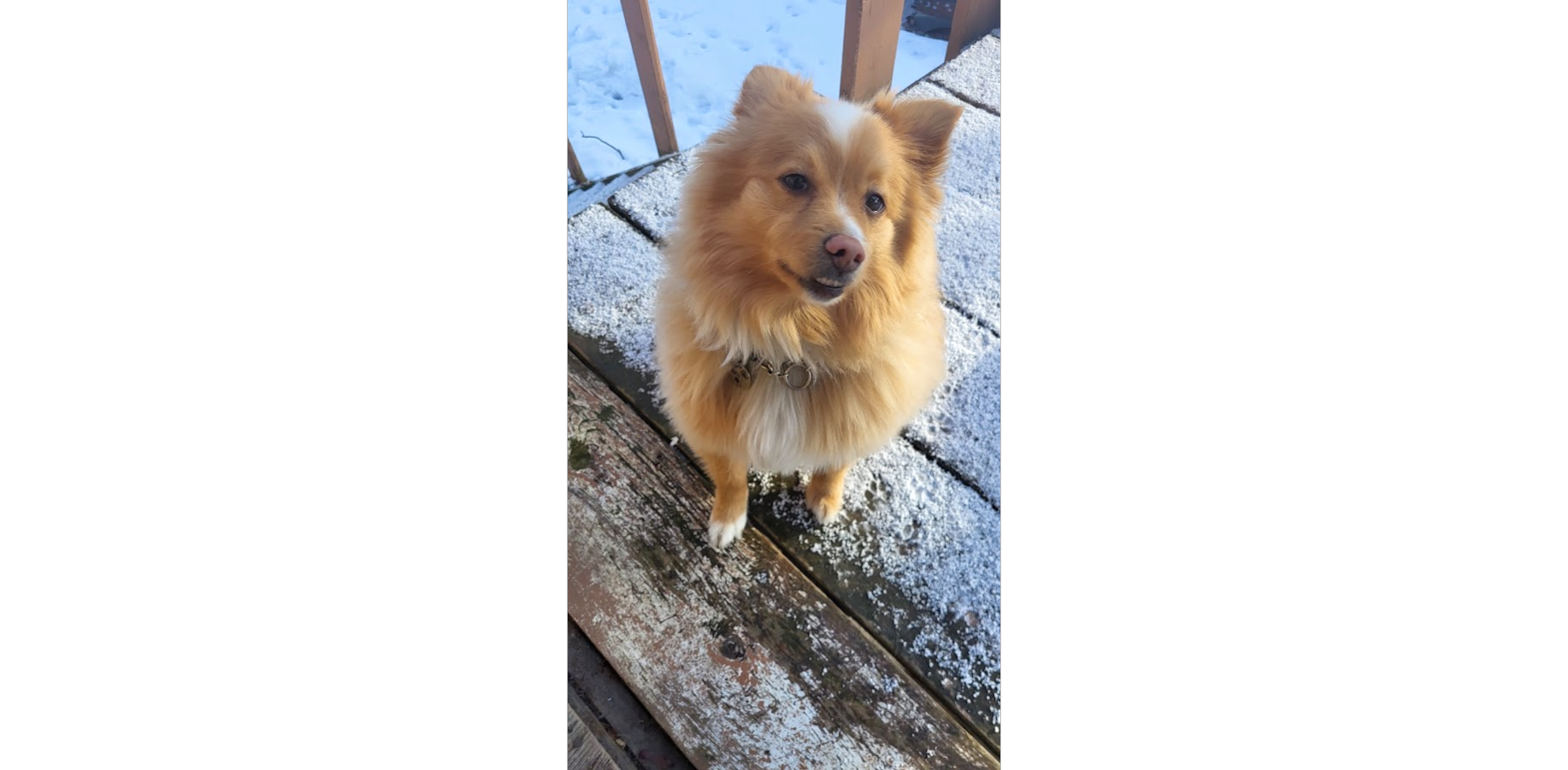 Catering to individual needs in a secure and loving home.