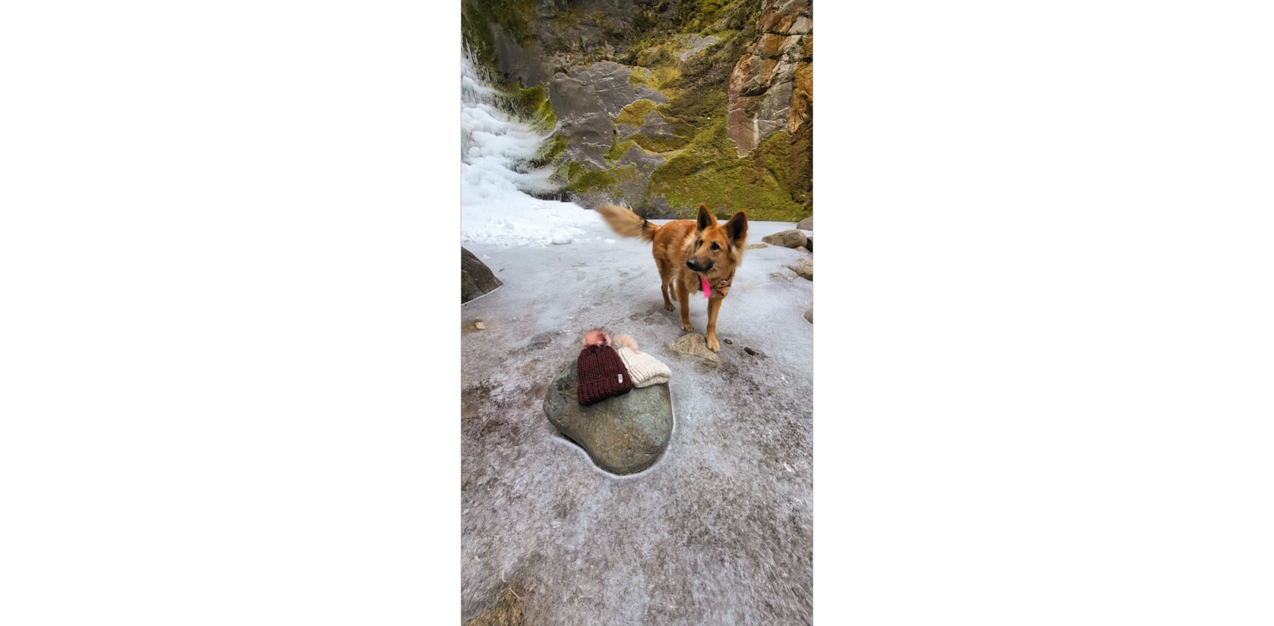 Catering to individual needs in a secure and loving home.